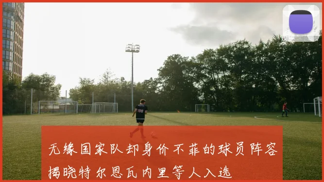 无缘国家队却身价不菲的球员阵容揭晓特尔恩瓦内里等人入选