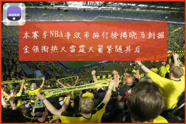 本赛季NBA净效率排行榜揭晓马刺掘金领衔热火雷霆火箭紧随其后