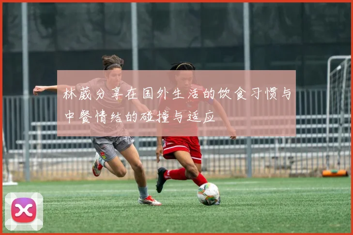 林葳分享在国外生活的饮食习惯与中餐情结的碰撞与适应