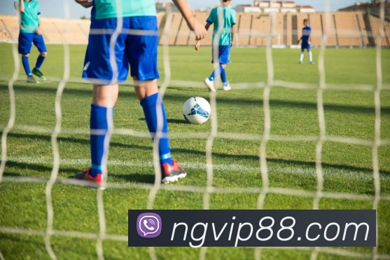 南宫娱乐平台生态图