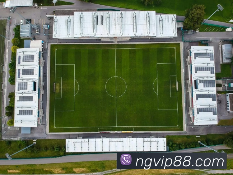 南宫娱乐APP 封面图